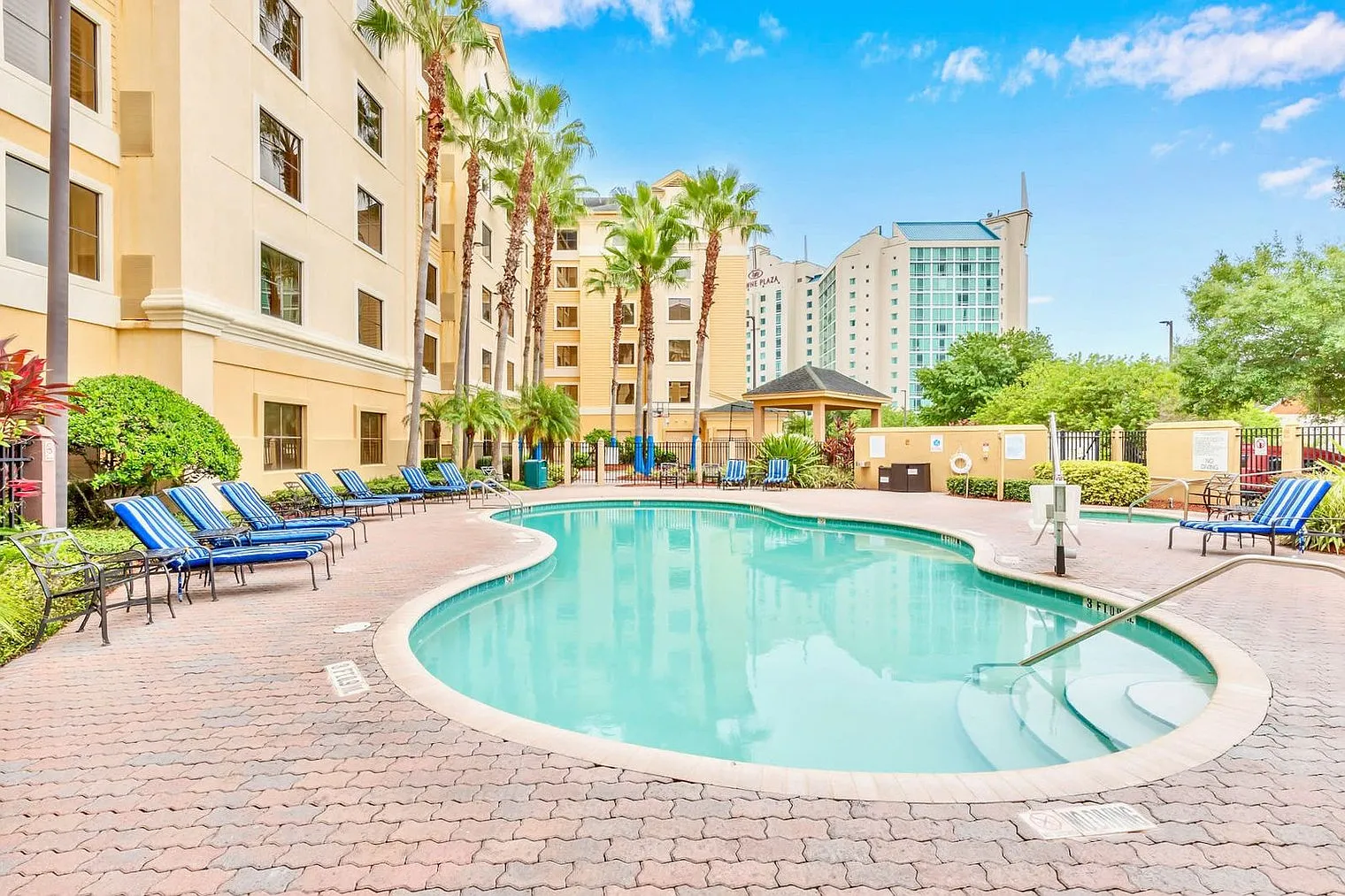 1 bed, 1.0 bath, 538 sqft, $1,755 — Photo 4