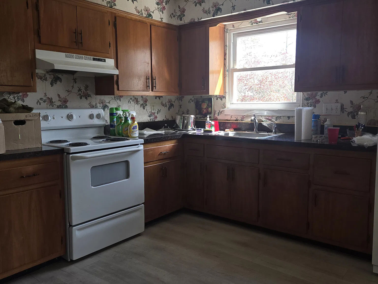 Arch Ave, Farmingdale — Photo 2