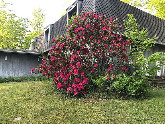 5th image of 5870 Poplar Dr