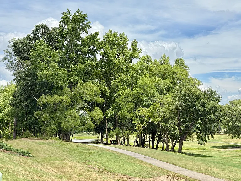 855 Parc Townes Dr — Photo 4