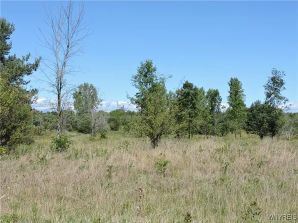 Vl 122 Sturgeon Point Rd, Derby, NY 14047