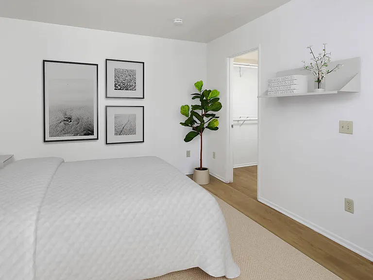 Bedroom with Walk-In Closet