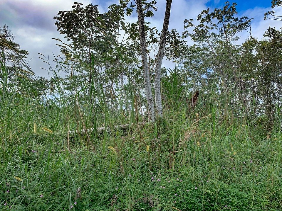 2nd image of Hapuu Rd Lot 338