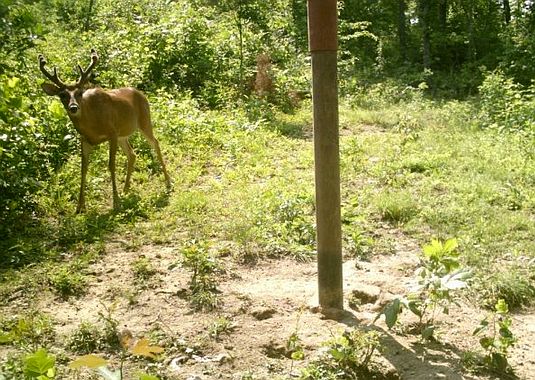 4th image of 23176 Louisville Rd