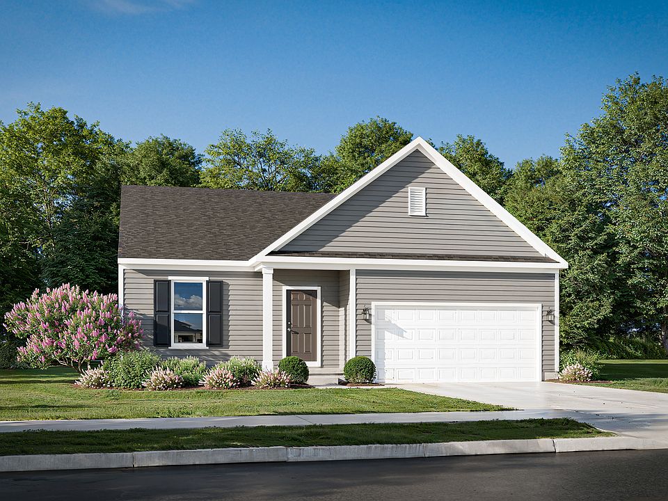 Palmer American Classic