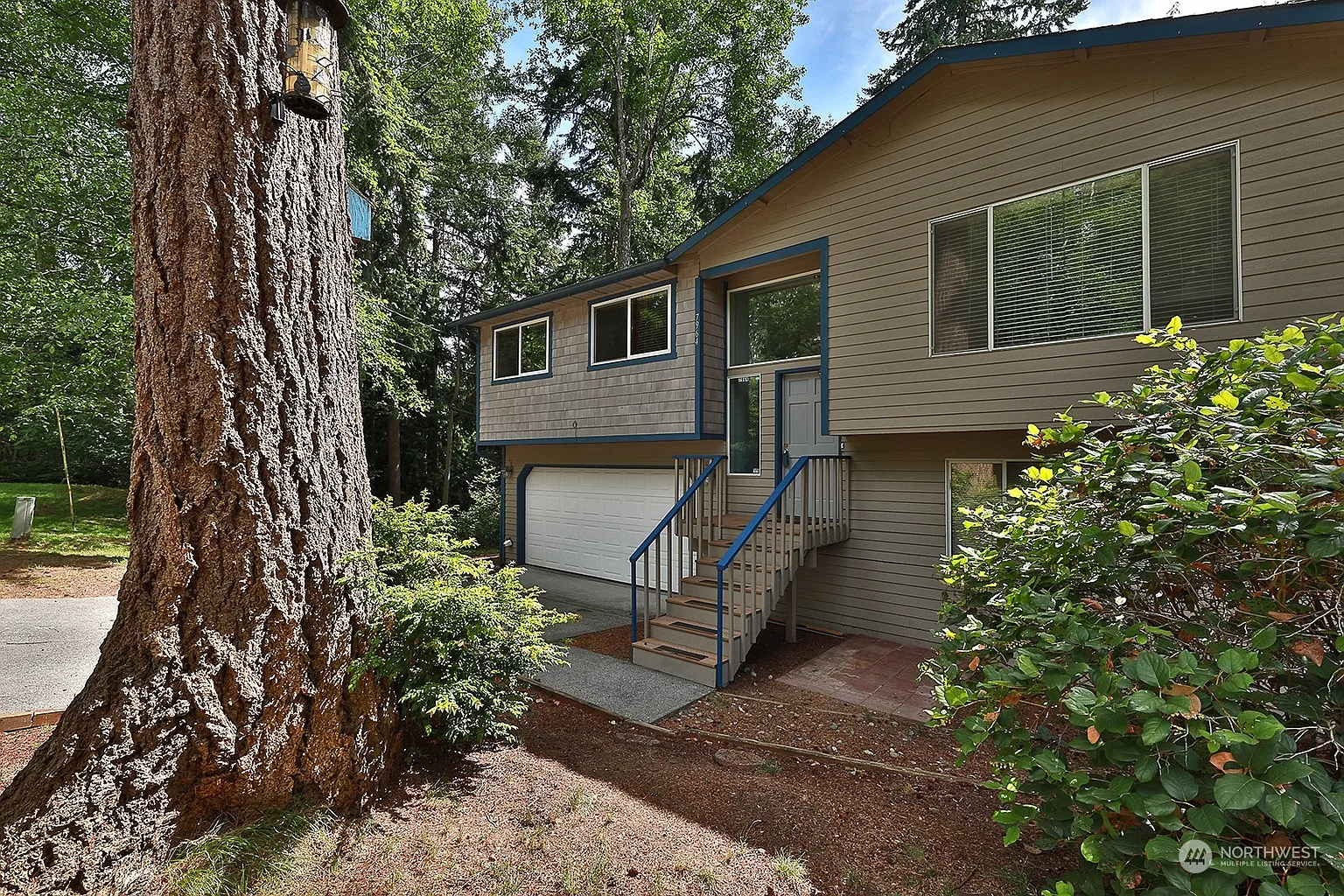 7964 Patos Lane photo 1