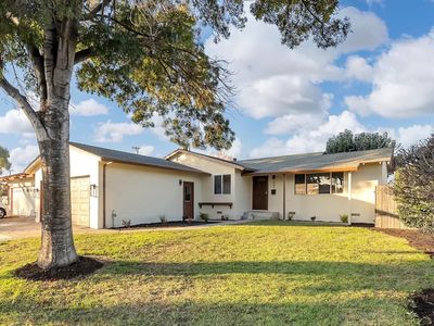 527 Maple Ave, Milpitas, CA, 95035