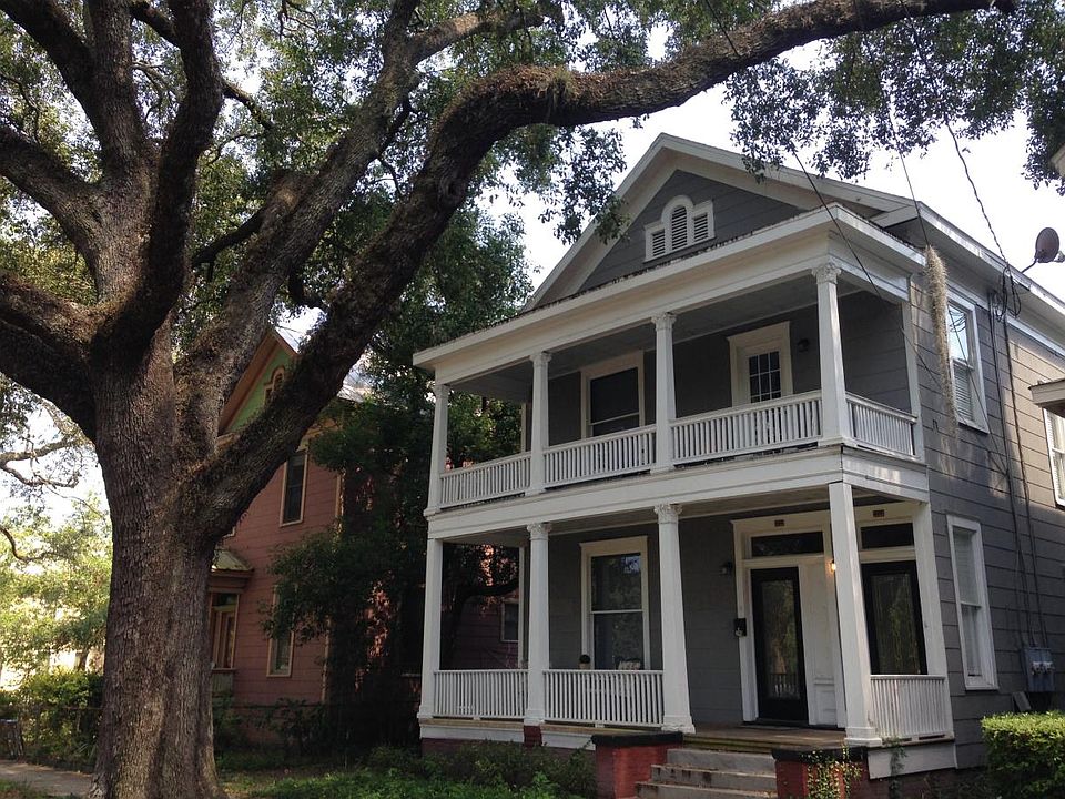 Huge Live Oak in Front Yard