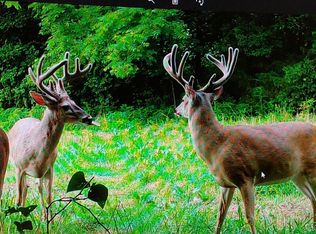 0 Island Rd, Grand Tower, IL 62942