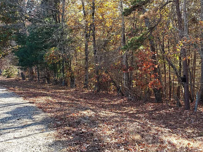 451 Cobb Mountain Rd — Photo 25