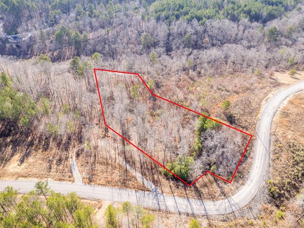 63 Shoreside At Sipsey, Double Springs, AL 35553