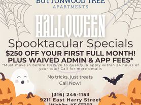 Buttonwood Tree