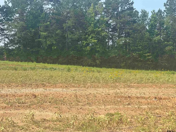 15 SW Eet Peak, Hallsville, TX 75650