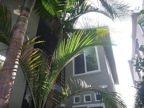3rd image of 538 Brooks Ave #D