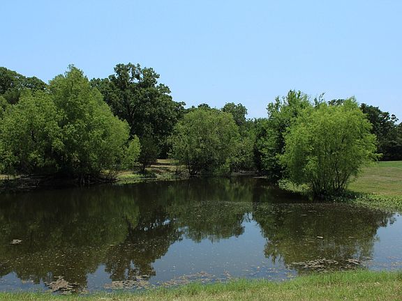 1Pond_8849.JPG