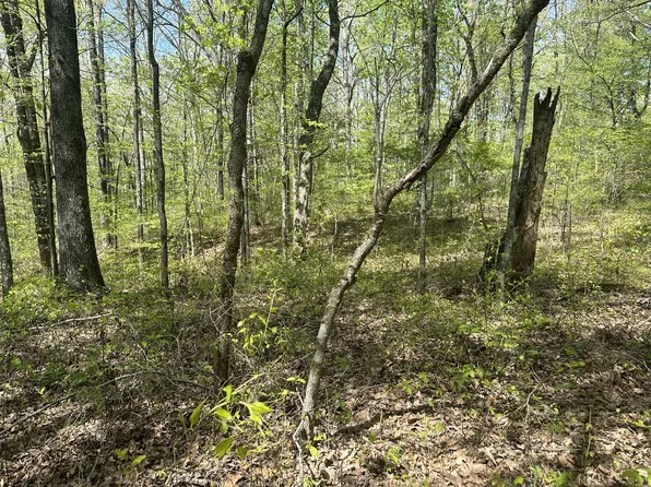 2 Primm Rd, Ashland City, TN 37015