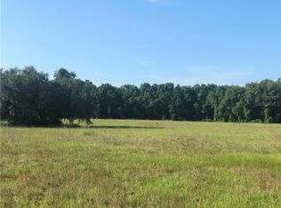 2330 SE 150th St, Summerfield, FL 34491