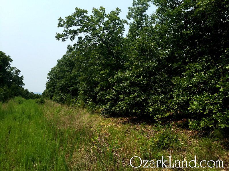 1st image of County Road 164 #Jp-a