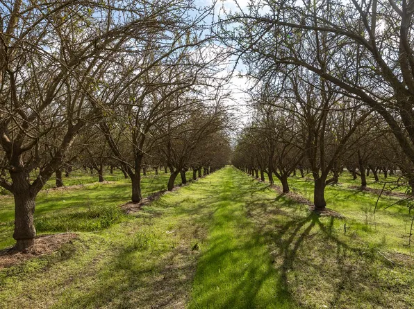 Berkeley Ave, Hughson, CA 95326