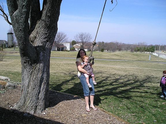 Tree in back yard