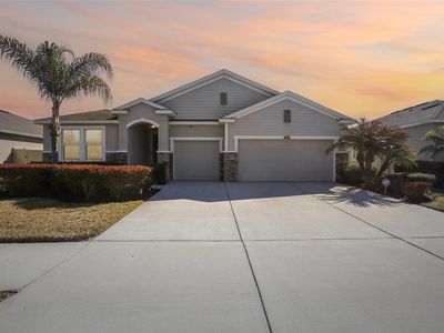 32030 GODDARD DRIVE, Wesley Chapel, FL, 33543