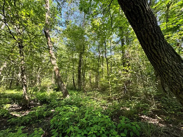 0 Martha Washington Rd, Clarkrange, TN 38553