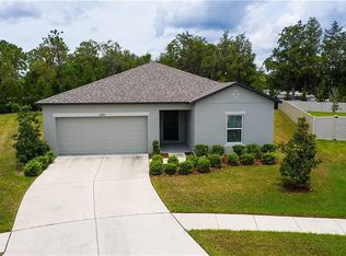 12490 Chaya Ct, Spring Hill, FL 34610