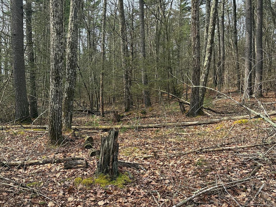 2nd image of Rambling Road