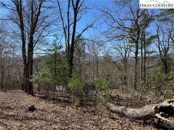 TBD Lot 52 Canawhay Drive, Jefferson, NC 28640