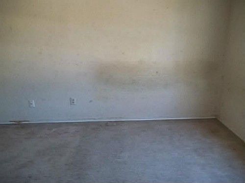 4th image of 3808 Chickasaw Ave