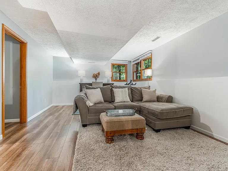 Lower level family room with office/gym area