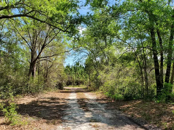 0 Wire Rd Lot 16.1, Lee, FL 32059