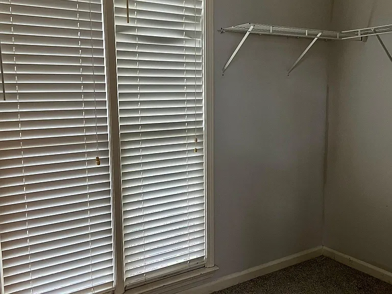 Large walk-in closet in master