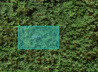 Commonwealth Ave N, Polk City, FL 33868