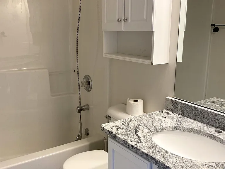 Hall Bathroom