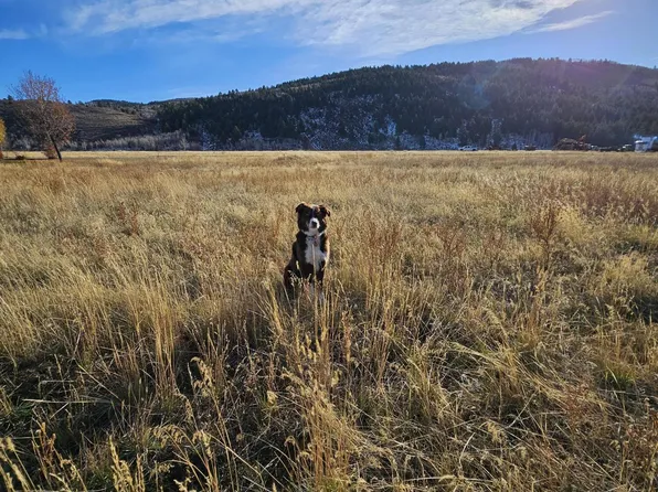 6412 E Trumpet Swan Cir, Victor, ID 83455