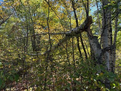 Tbd State Highway 210, McGregor, MN, 55760