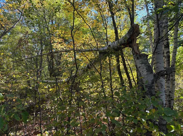 Tbd State Highway 210, McGregor, MN 55760