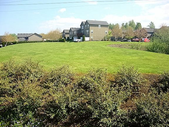 Private Backyard