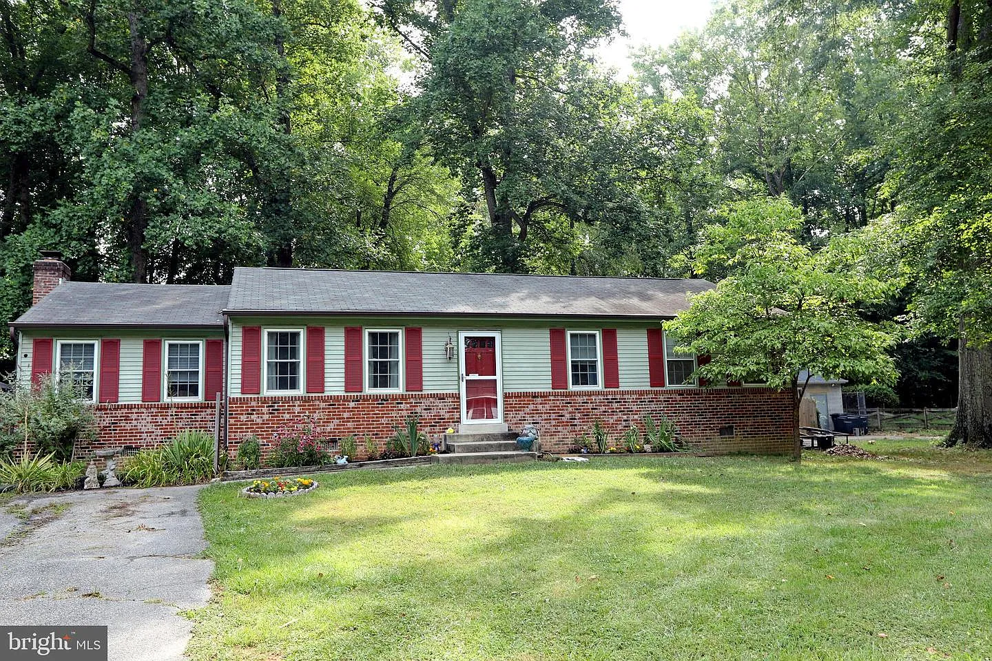 11518 Timberbrook Dr photo 1