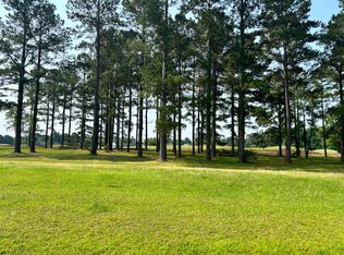 421 Pinelake Ct, Manning, SC 29102