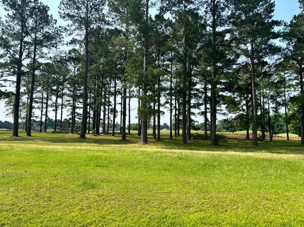 421 Pinelake Ct, Manning, SC 29102