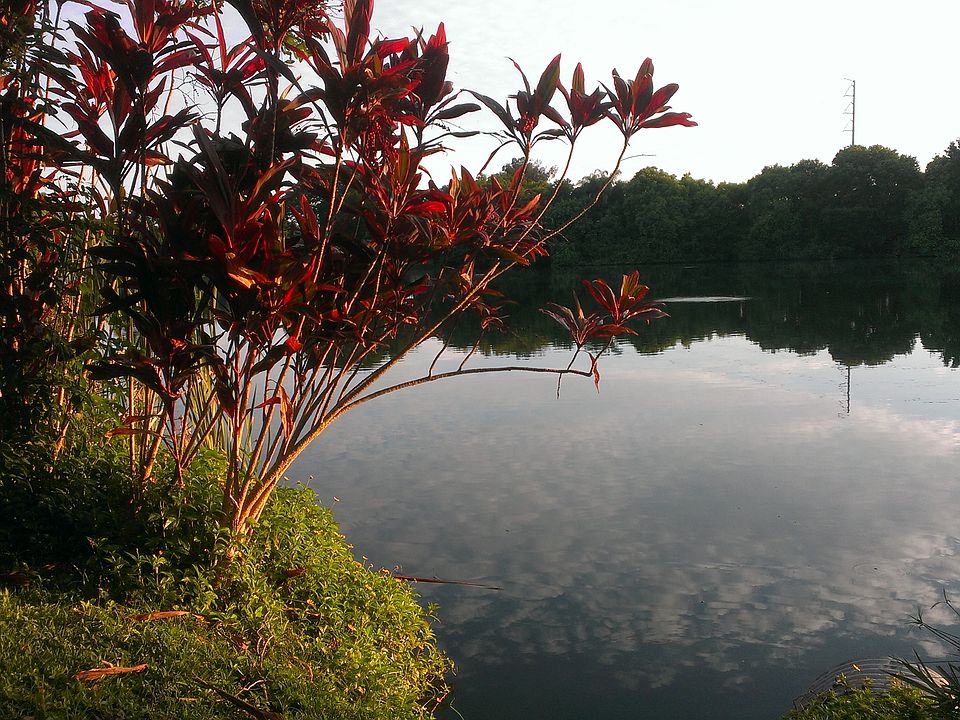 1st image of 10247 Blossom Lake Dr