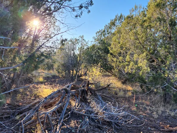 88D W Rose Ln, Ash Fork, AZ 86320