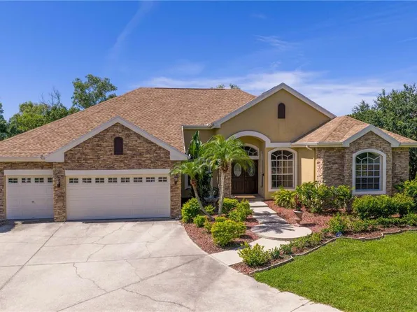 12532 Twin Branch Acres Rd, Tampa, FL 33626