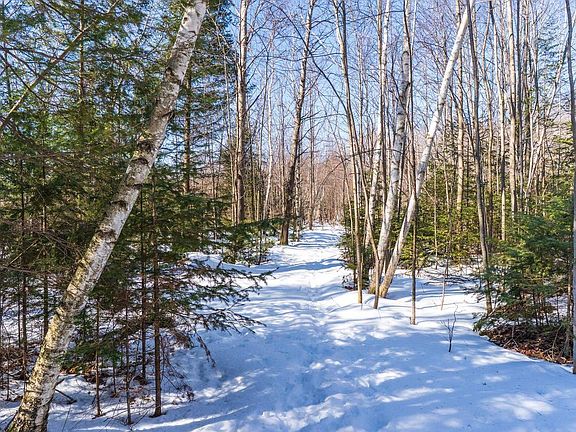 4th image of 18.28 Acres SOUTH ROAD