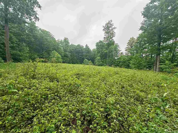 2 Tobias Rd, Elmira, MI 49730