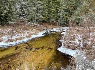 0 Silery Rd, Indian River, MI 49749