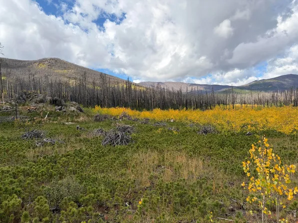 2025 Granite Rd, Bellvue, CO 80512