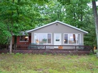 6500 N Natahki Dr, Irons, MI 49644